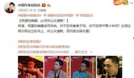 娱乐圈顶级爆料博主小说,揭秘明星背后的秘密与真相